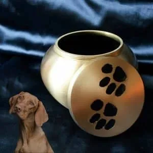 onoranze funebri anteprima